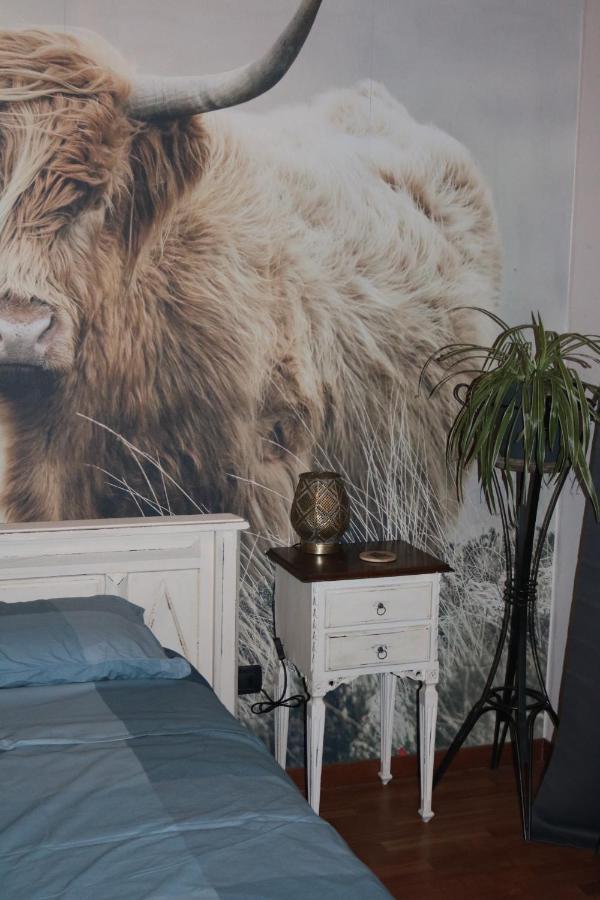 B&B Acquagrossa San Martino Buon Albergo Εξωτερικό φωτογραφία